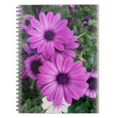 Paarse zeeduivel notitieboek (Voorkant)