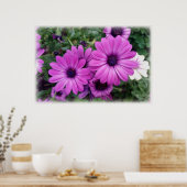 Paarse zeeduivel poster (Keuken)