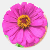 Paarse Zinnia-bloem Ronde Sticker (Voorkant)