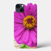 Paarse Zinnia Flower in Bloom iPhone Case (Achterkant)