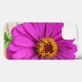 Paarse Zinnia Flower in Bloom iPhone Case (Achterkant (horizontaal))
