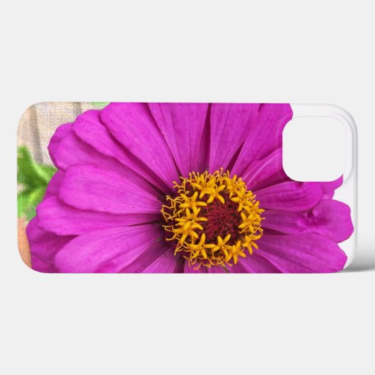 Paarse Zinnia Flower in Bloom iPhone Case (Achterkant (horizontaal))