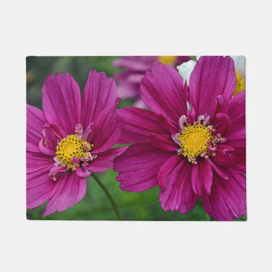 Paarse zinnibloemen deurmat (Voorkant)
