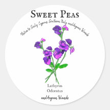 Paarse zoete erwten bloemen kunst met tekst