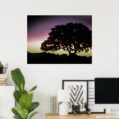 Paarse zon en eikenboom Silhouette Poster (Thuiskantoor)