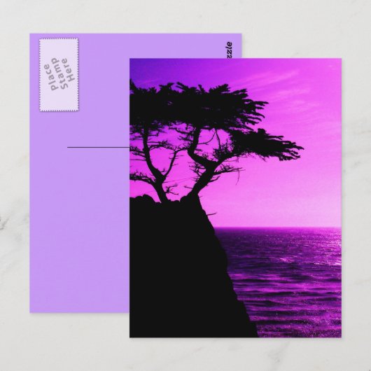 Paarse Zonnebakboom Ocean Peace Love Destiny Briefkaart (Voorkant / Achterkant)