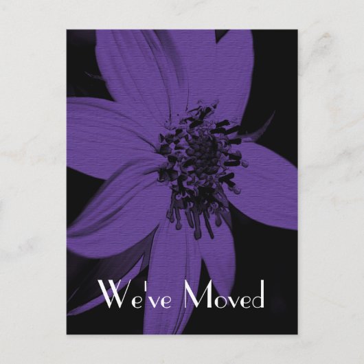 Paarse Zonnebloem Nieuw Adres Floral Art Briefkaar Aankondigingskaart (Voorkant)