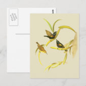 Paarse Zonnevogel Briefkaart (Voorkant / Achterkant)