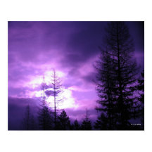 Paarse Zonsondergang en Silhouetten 20" x 16" Post