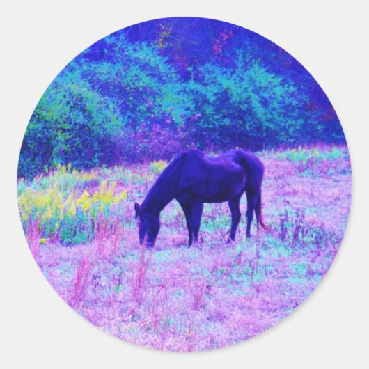 Paarse zwarte paarden in het regenboogveld ronde sticker (Voorkant)