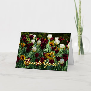 Paarsrode en Gele Tulpen Kleurrijke Bloemen Folie Wenskaart
