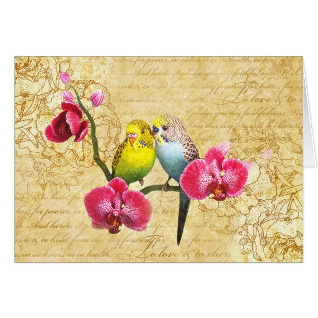 Paarten voor orchideeën (Voorkant Horizontaal)