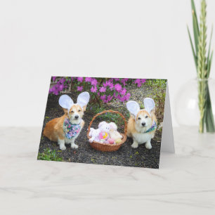 Paas Konijn Corgis begroeten Kaart