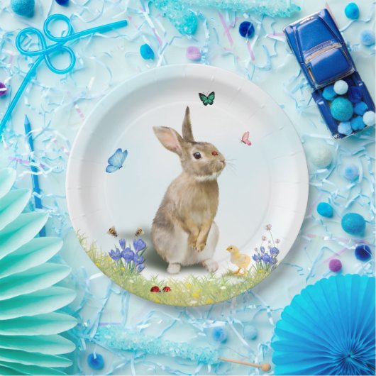 Paas Konijn Kuiken Lieveheersbeestjes Vlinders Kro Papieren Bordje (Feest)