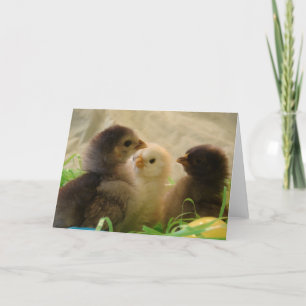 Paas Kuikens Feestdagen Kaart