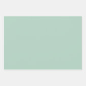 Paas Mint Groen Ginham Inpakpapier Vel (Voorkant 2)