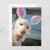 Paas-Ollie Feestdagenkaart (Voorkant / Achterkant)