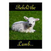 Paasbewaarder de Lamb II (Voorkant)