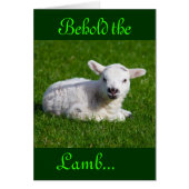 Paasbewaarder de Lamb III (Voorkant)