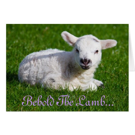 Paasbewaarder de Lamb-ziekteverzekeringskaart (Voorkant Horizontaal)