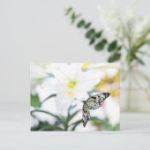 Paasbijles 1 John 2:25 Bijbelversie Feestdagenkaart (Staand voorkant)