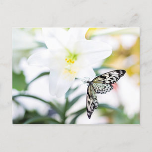 Paasbijles 1 John 2:25 Bijbelversie Feestdagenkaart