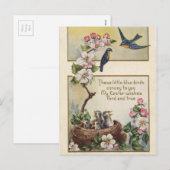  paasblauwe vogeltjes en nestgroeten feestdagenkaart (Voorkant / Achterkant)