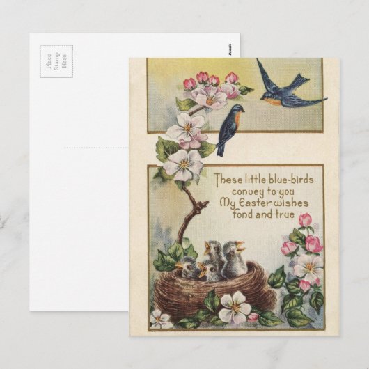  paasblauwe vogeltjes en nestgroeten feestdagenkaart (Voorkant / Achterkant)