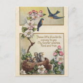  paasblauwe vogeltjes en nestgroeten feestdagenkaart (Voorkant)