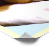 Paasboxerpuppy poster (Hoek)