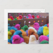 Paasbriefkaart Feestdagenkaart (Voorkant / Achterkant)