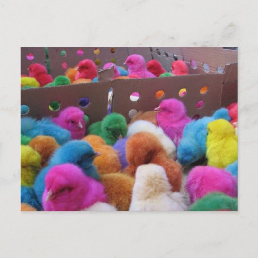 Paasbriefkaart Feestdagenkaart (Voorkant)