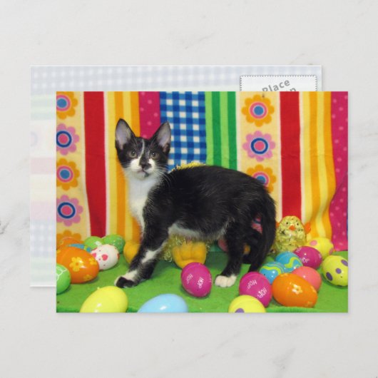 PaasBriefkaart van Foxi Moxi Feestdagenkaart (Voorkant / Achterkant)