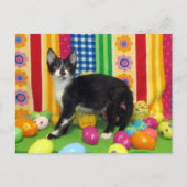 PaasBriefkaart van Foxi Moxi Feestdagenkaart (Voorkant)