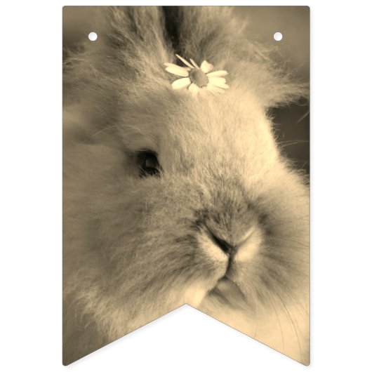 PAASBRUILOFT VOOR FEESTJES EN DECORATIE VLAGGETJES (Tweede vlag)