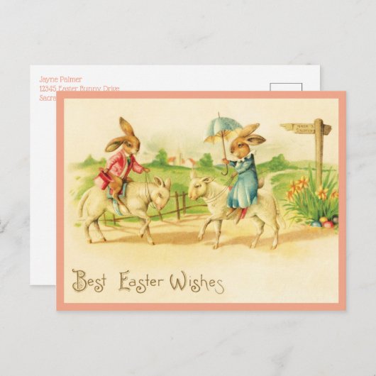 paasbundels en lammeren briefkaart (Voorkant / Achterkant)