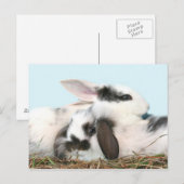 Paasbundels Feestdagenkaart (Voorkant / Achterkant)