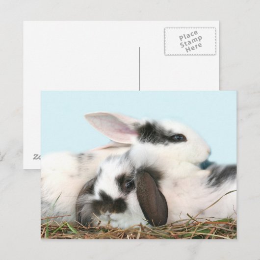 Paasbundels Feestdagenkaart (Voorkant / Achterkant)