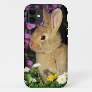 Paasbunny iPhone 11 Hoesje