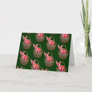 Paasbunny Cat Feestdagen Kaart