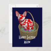 Paasbunny Cat Feestdagenkaart (Voorkant / Achterkant)