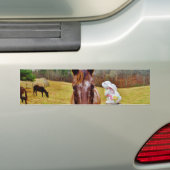 PaasBunny en bruin paard Bumpersticker (Op auto)
