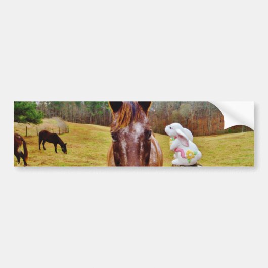 PaasBunny en bruin paard Bumpersticker (Voorkant)