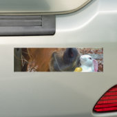 PaasBunny en bruin paard Bumpersticker (Op auto)
