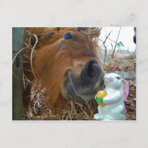 PaasBunny en bruin paard Feestdagenkaart