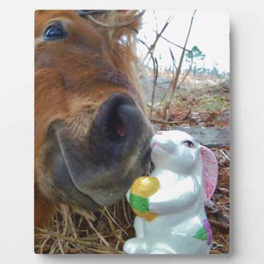 PaasBunny en bruin paard Fotoplaat (Voorkant)