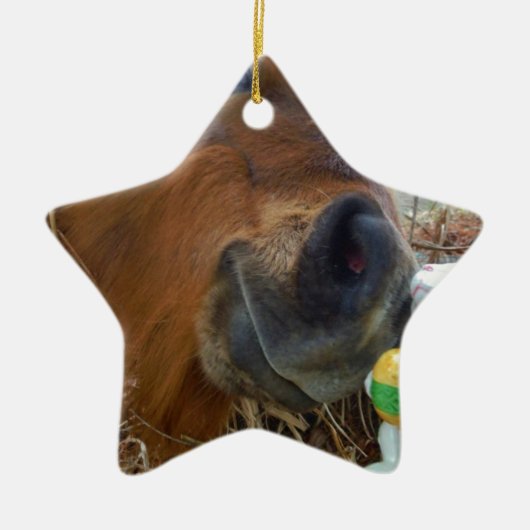 PaasBunny en bruin paard Keramisch Ornament (Voorkant)