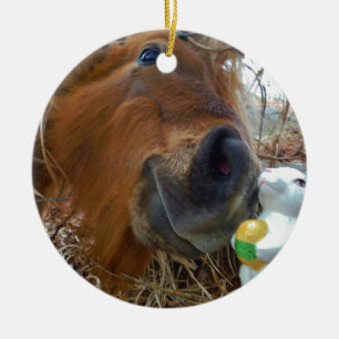 PaasBunny en bruin paard Keramisch Ornament