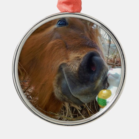PaasBunny en bruin paard Metalen Ornament (Voorkant)