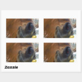 PaasBunny en bruin paard Rechthoekige Sticker (Vel)